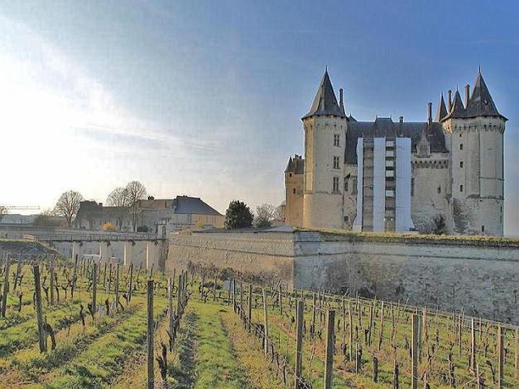 149 DOMAINE DE BLAIRE ET ENVIRONS MAINE ET LOIRE 2016 N0_000043.jpg